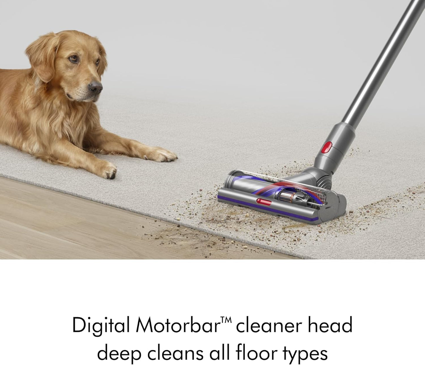 Dyson V15s Detect Submarine Wet Dry Vacuum, Yellow/Nickel