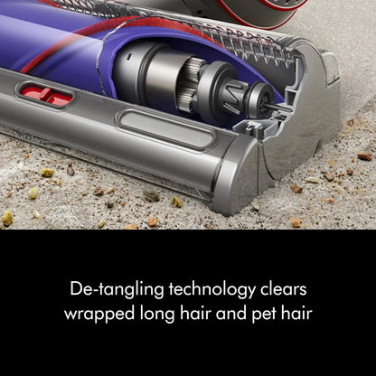 Dyson Ball Animal 3+