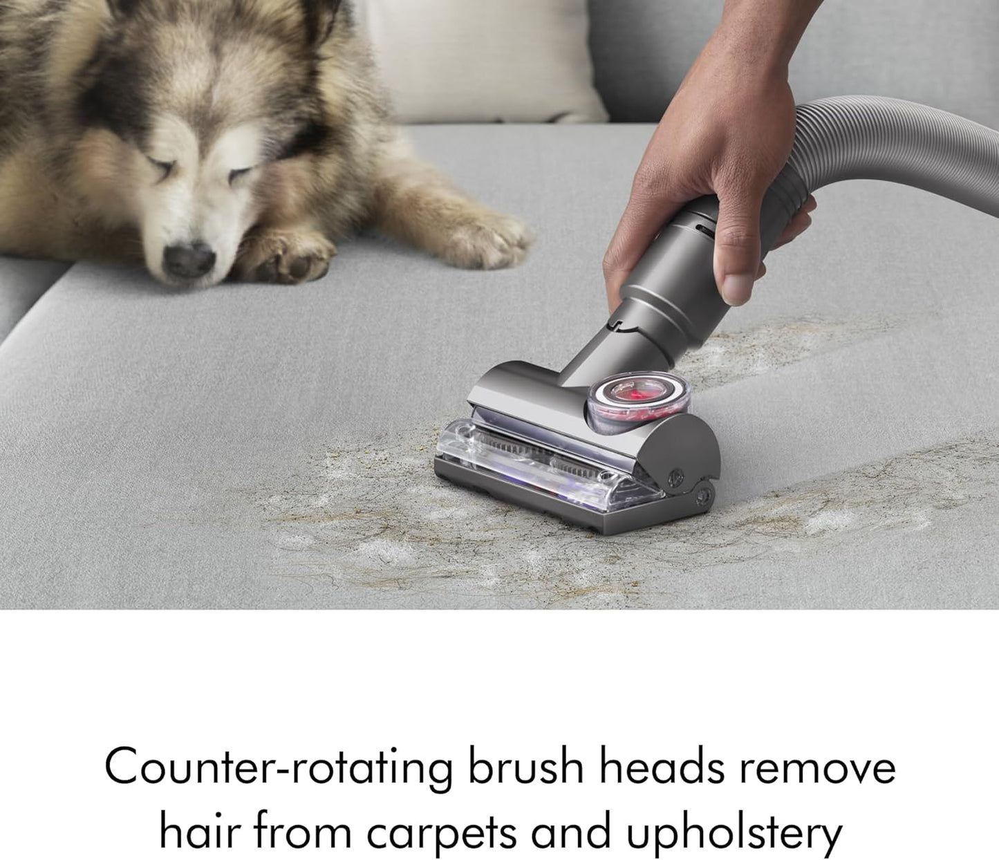 Dyson Ball Animal 3+