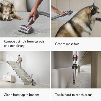 Dyson Ball Animal Total Clean Upright Vacuum, Corded, 290AW, Self-Adjusting